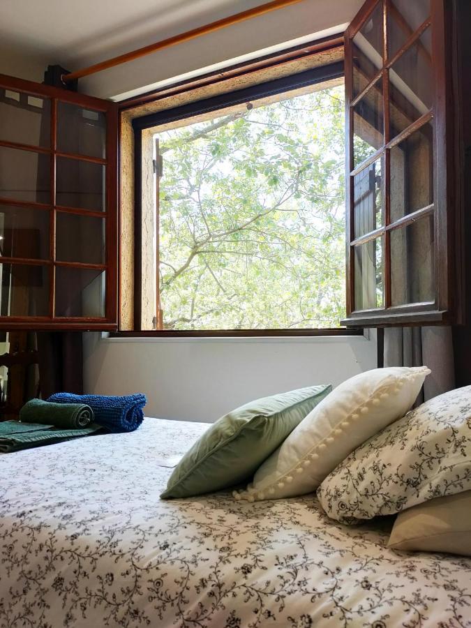 Villa Les Chariotins Ντραγκινιάν Εξωτερικό φωτογραφία